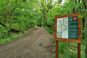 a image a forest trail with an information board