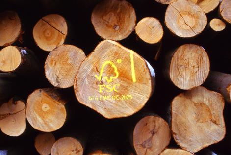 a log with an FSC stamp