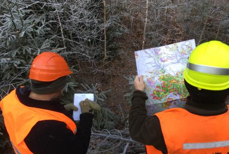 two forest auditors reading a map