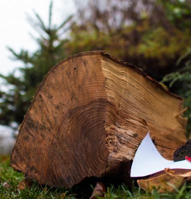 a chopped log of wood with a small paper and pen in front of it