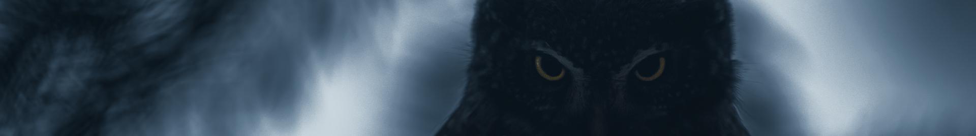 night owl