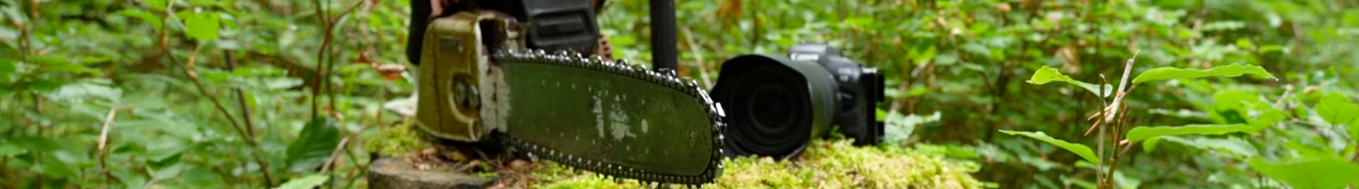 a chainsaw and a camera on a tree stump