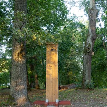 a photo of wooden beetle nest